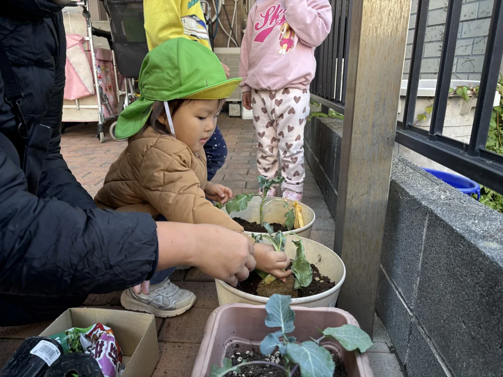 幼稚園教諭と保育士は資格の取り方が違う